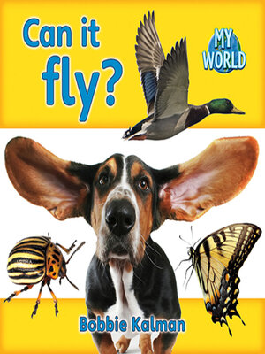 cover image of Can it fly?